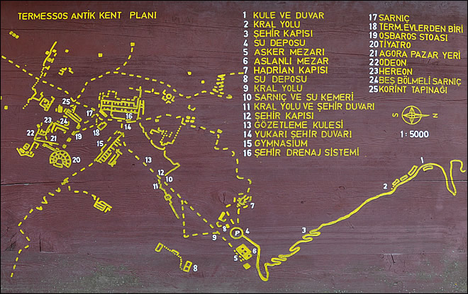 Plan de la ville de Termessos